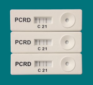 ӢPocket DiagnosticyʽPCRa(chn)ﶨԙzyPCRzy