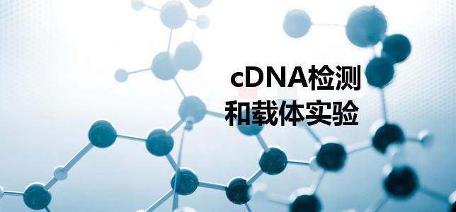 cDNAzy(c)dw(sh)(yn)